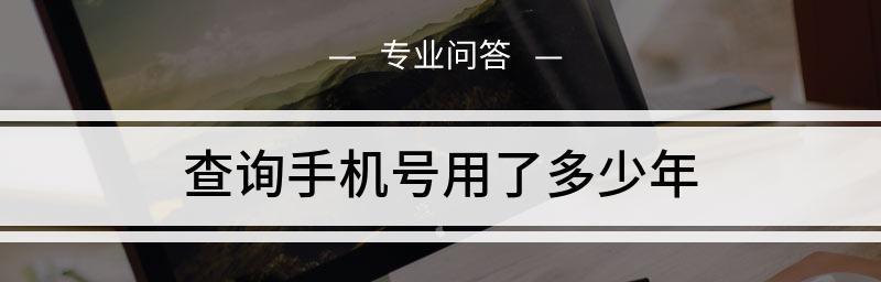 如何查询手机号的机主姓名（掌握查询手机号机主姓名的技巧）