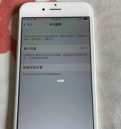 iPhone6来电无声问题解决方法（解决iPhone6来电无声问题的实用方法）