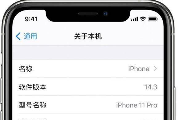 如何鉴别真假iPhone（识别iPhone真伪的技巧与方法）