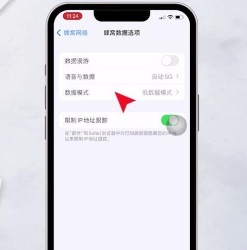 提升iPhone手机信号的有效方法（从信号不稳定到通话无忧）