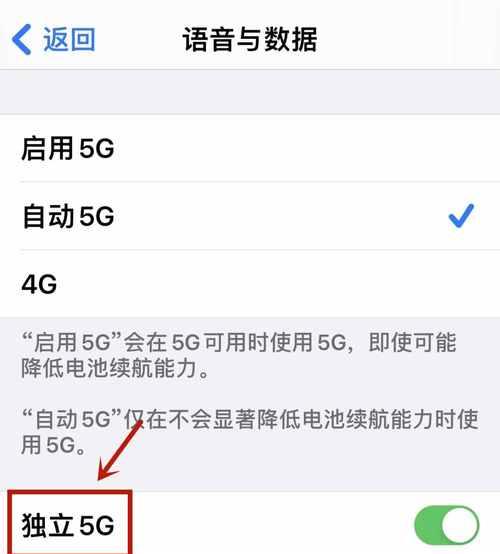 解决iPhone网速慢的方法（提升iPhone网速的小技巧）