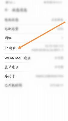如何修改IP地址上网设置（简单步骤教你修改IP地址以解决上网问题）
